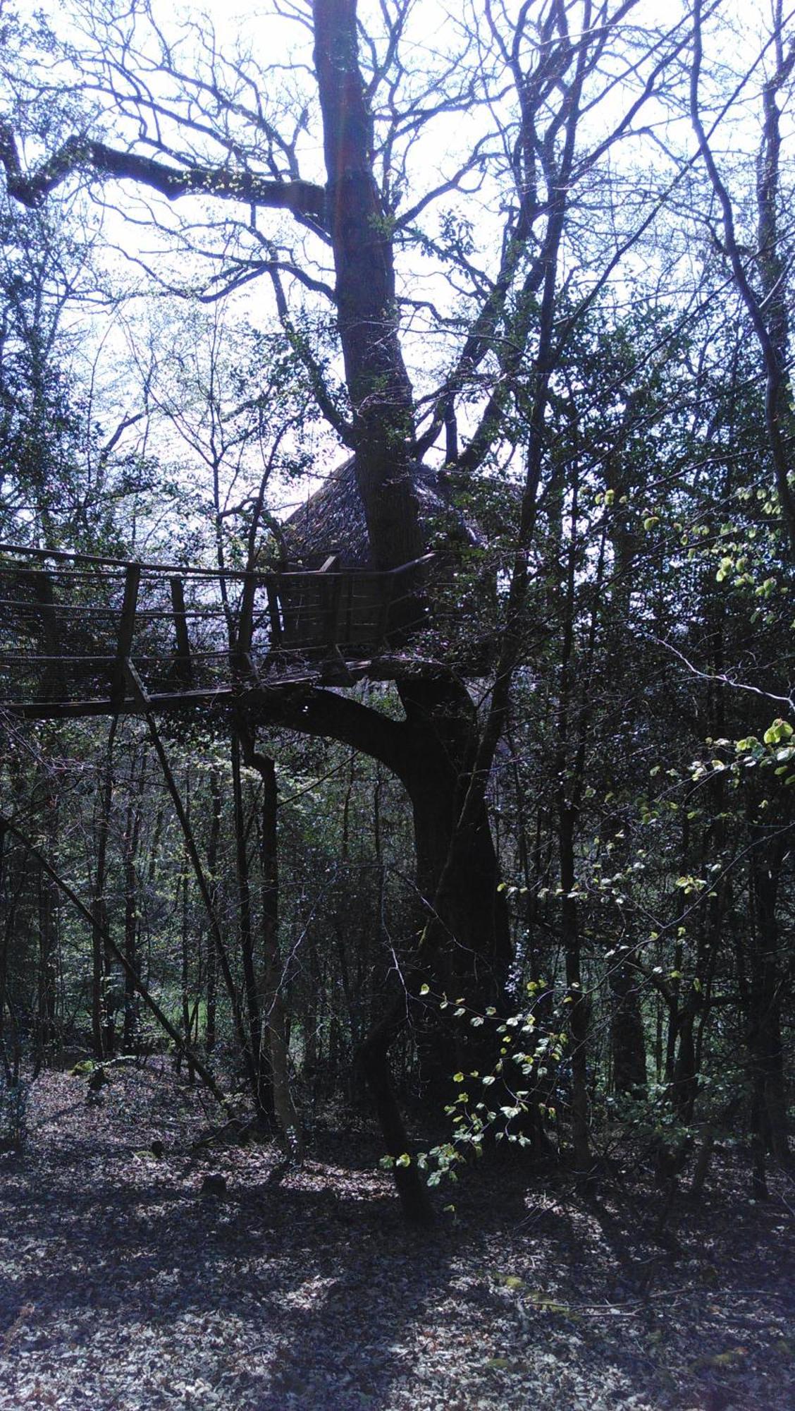 Les Hebergements Insolites De Quenecan * Perret (Morbihan)